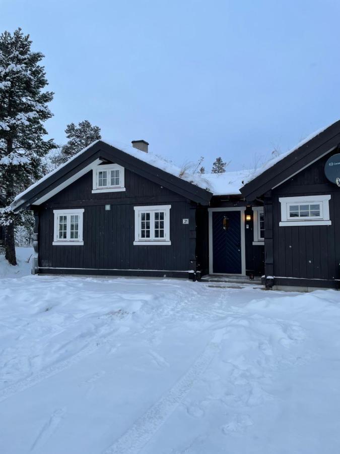Hytte I Nydelige Jotunhemen - Rett Ved Besseggen Randsverk エクステリア 写真
